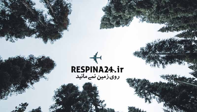 بنر تبلیغاتی رزرو بلیط هواپیما ماهشهر تهران از وبسایت رسپینا شامل نمایی از یک جنگل که یک هواپیما در آسمان ان در حال پرواز است.